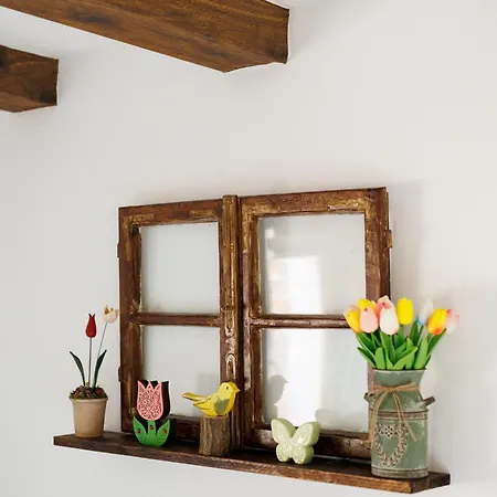 Tulipanos Kucko Az Orsegben * Viszak