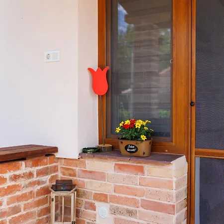 Apartment Tulipanos Kucko Az Orsegben