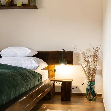 Tulipanos Kucko Az Orsegben Viszak