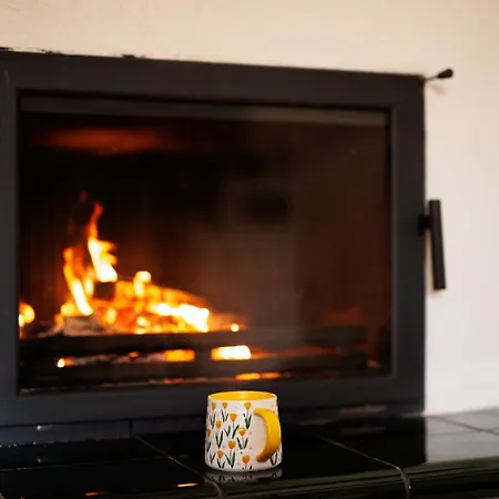 Tulipanos Kucko Az Orsegben Apartment Viszak